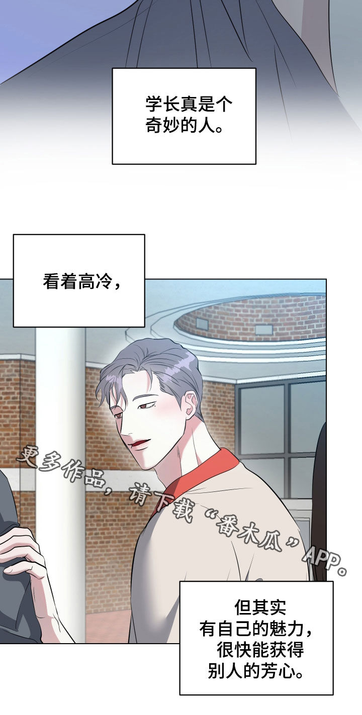 红蛇梦魇