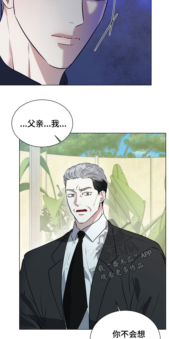 红蛇梦魇