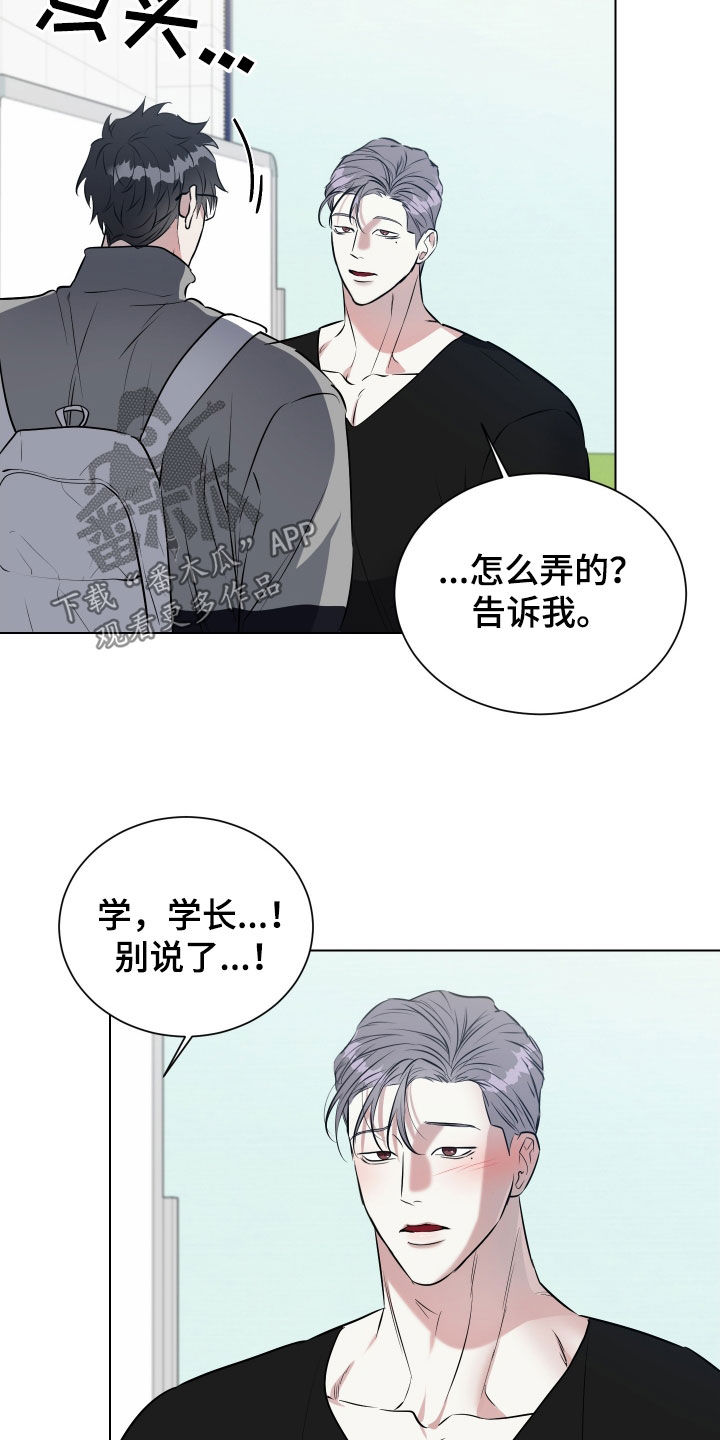 红蛇梦魇