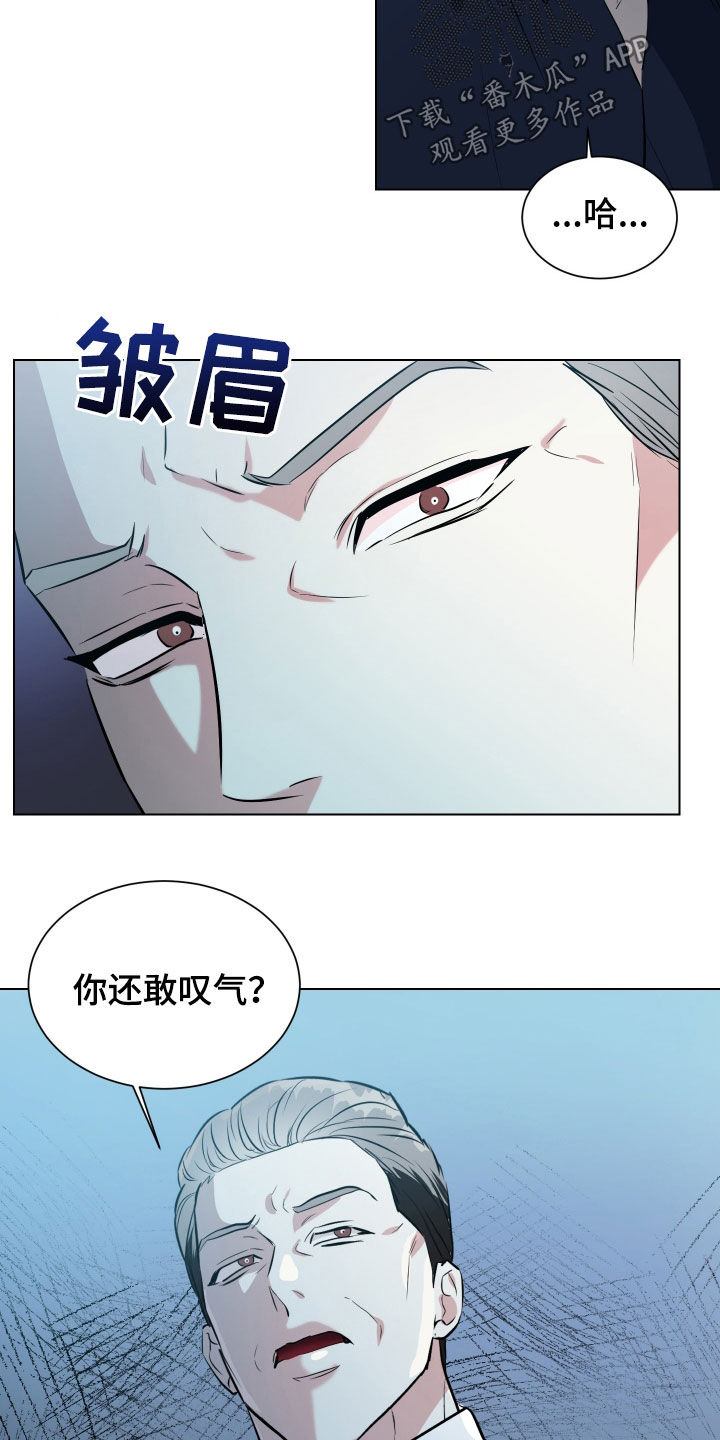 红蛇梦魇