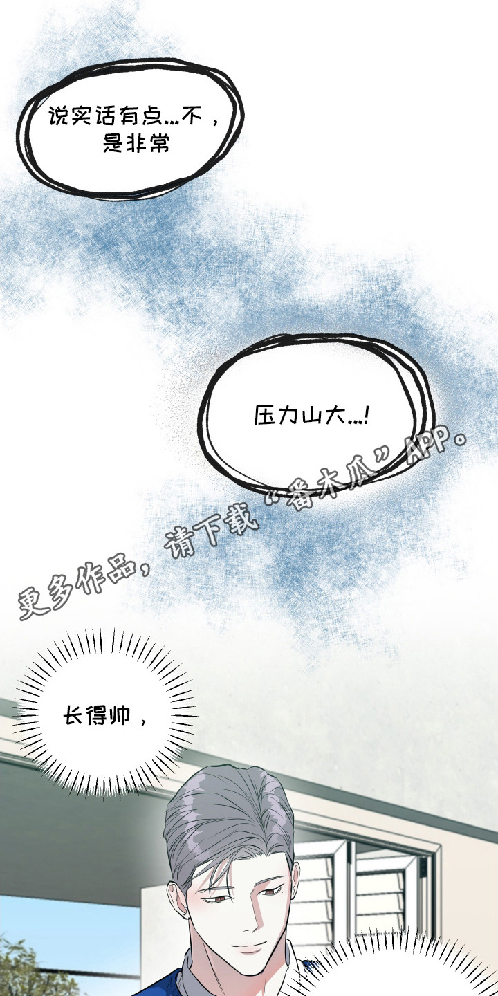 红蛇梦魇