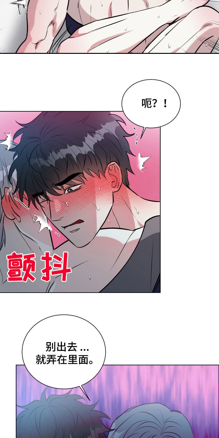 红蛇梦魇