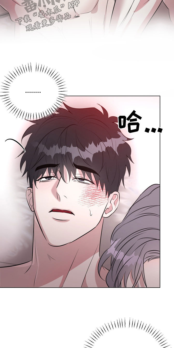 红蛇梦魇