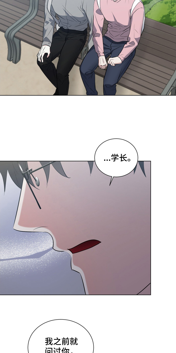 红蛇梦魇