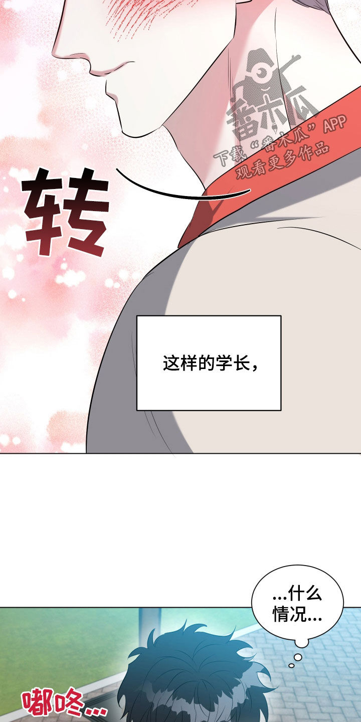 红蛇梦魇