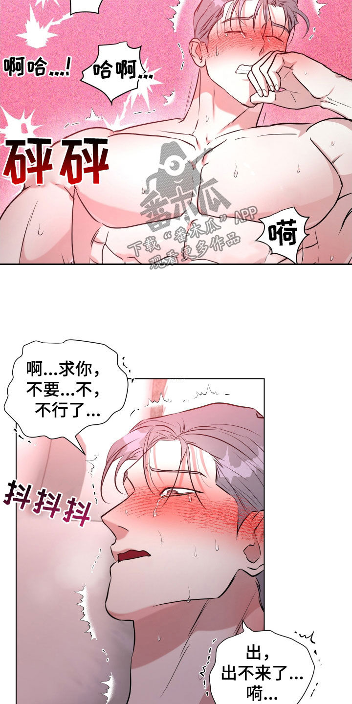 红蛇梦魇