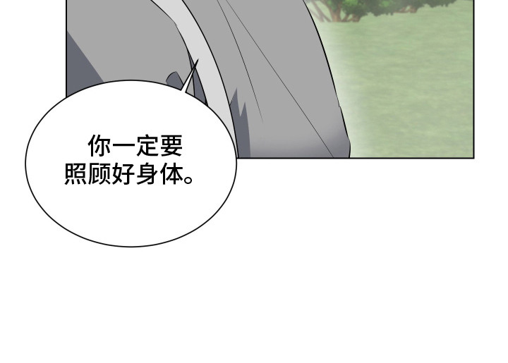 红蛇梦魇