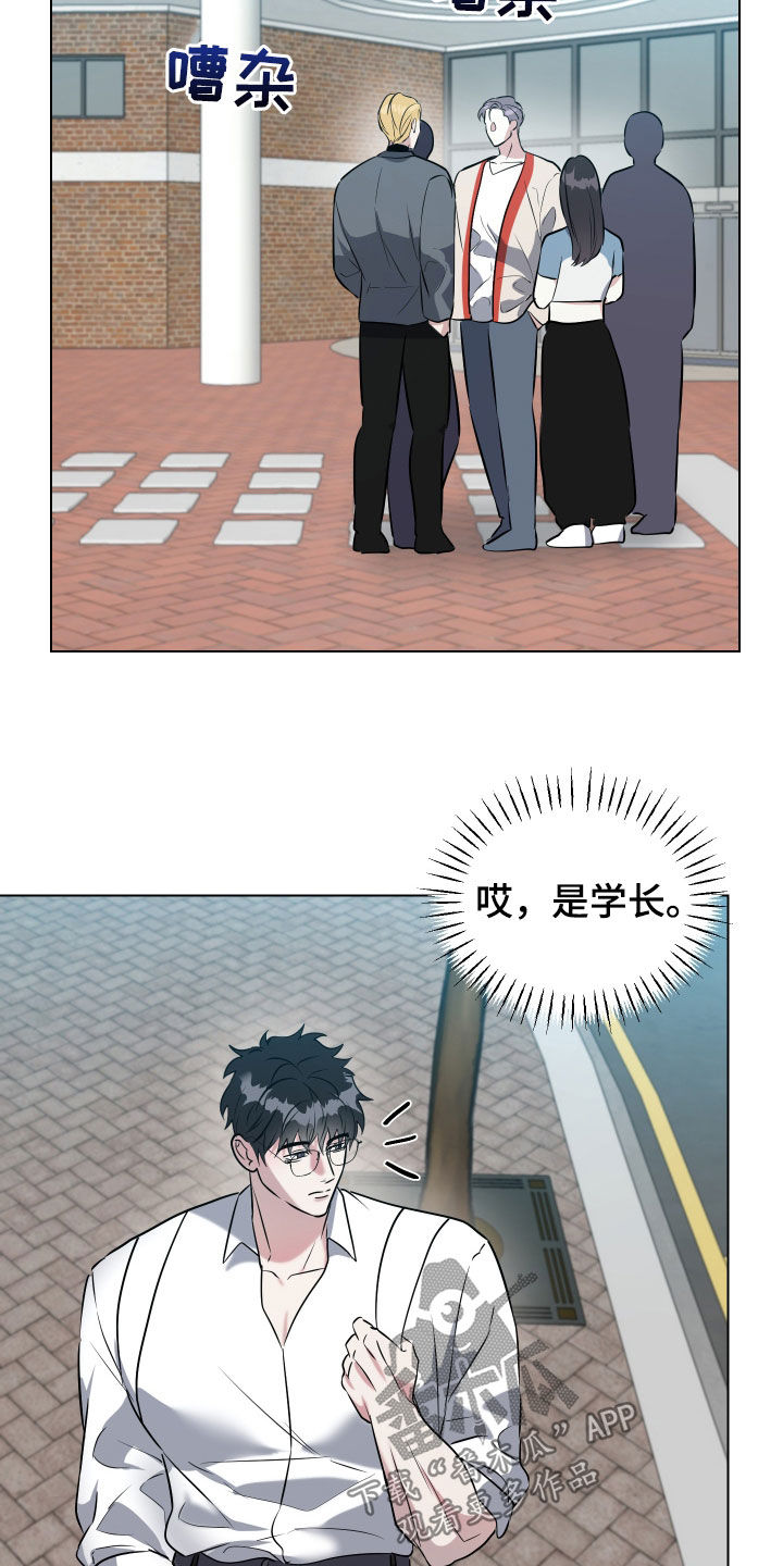 红蛇梦魇