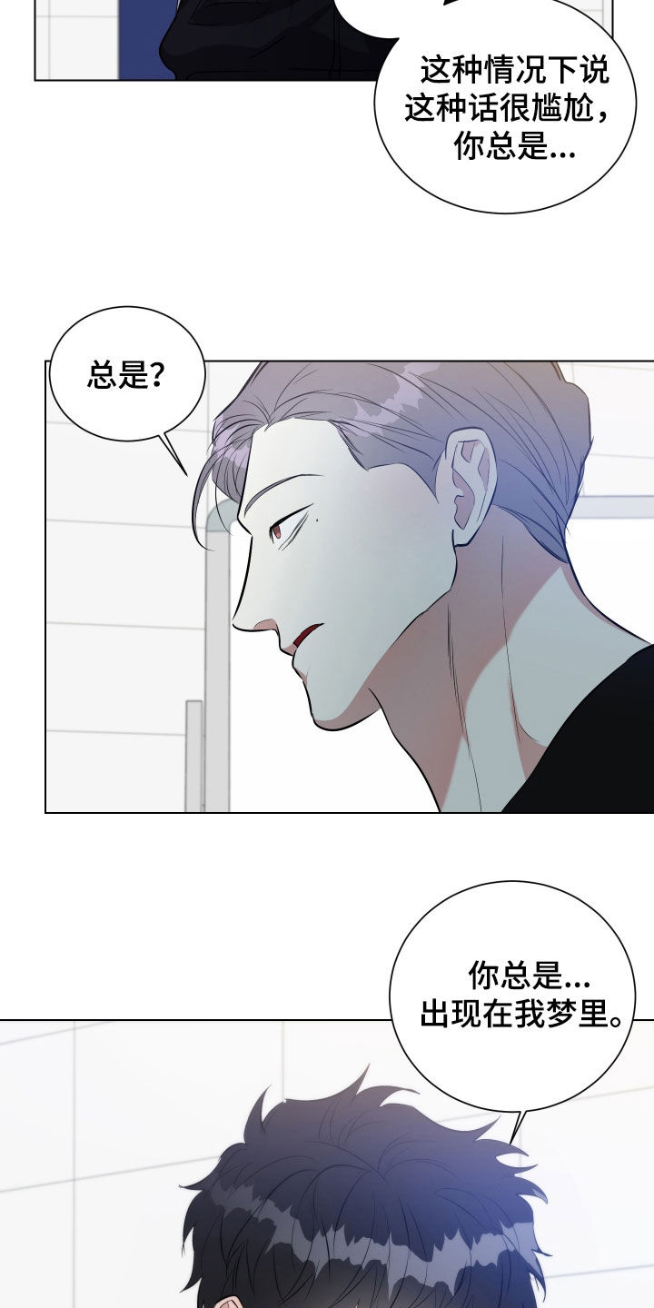 红蛇梦魇