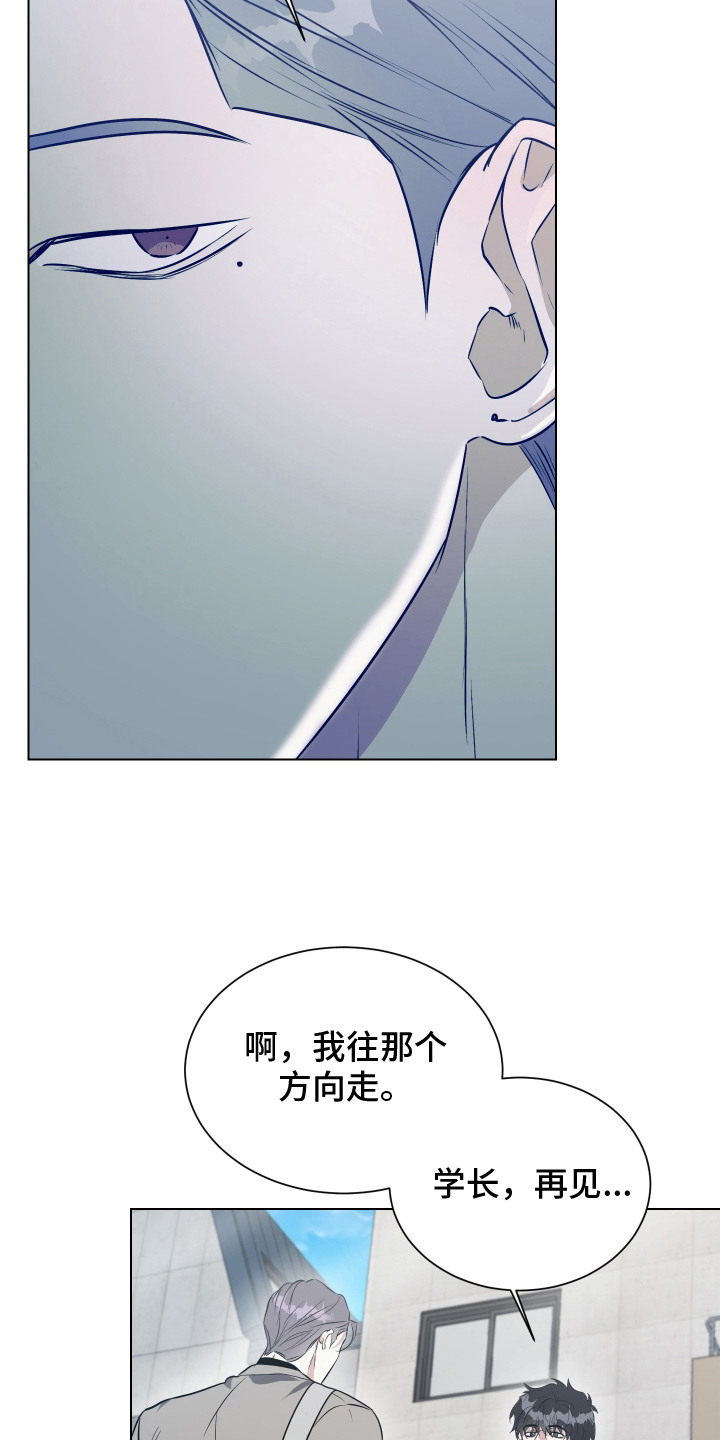 红蛇梦魇