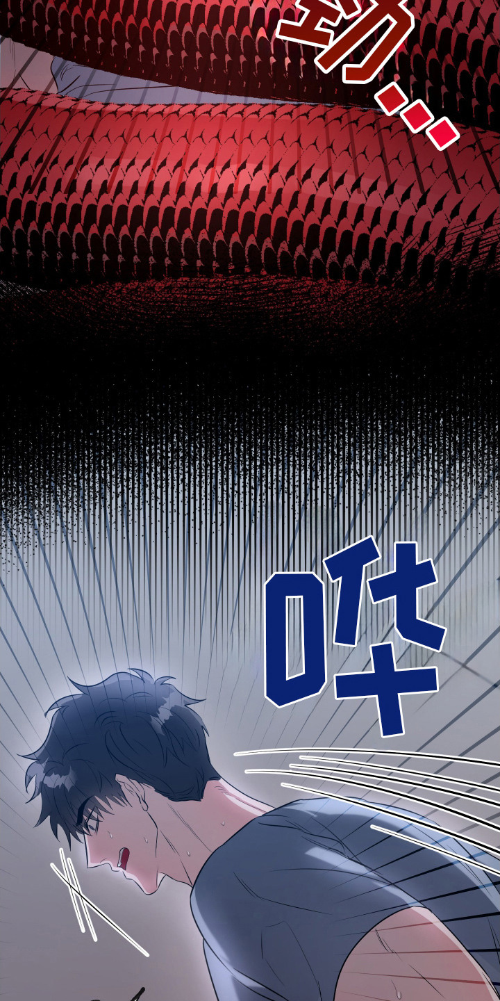 红蛇梦魇