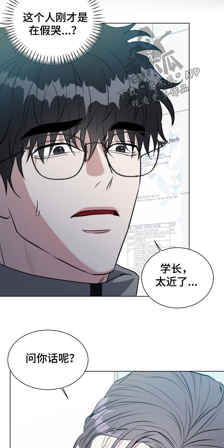 红蛇梦魇