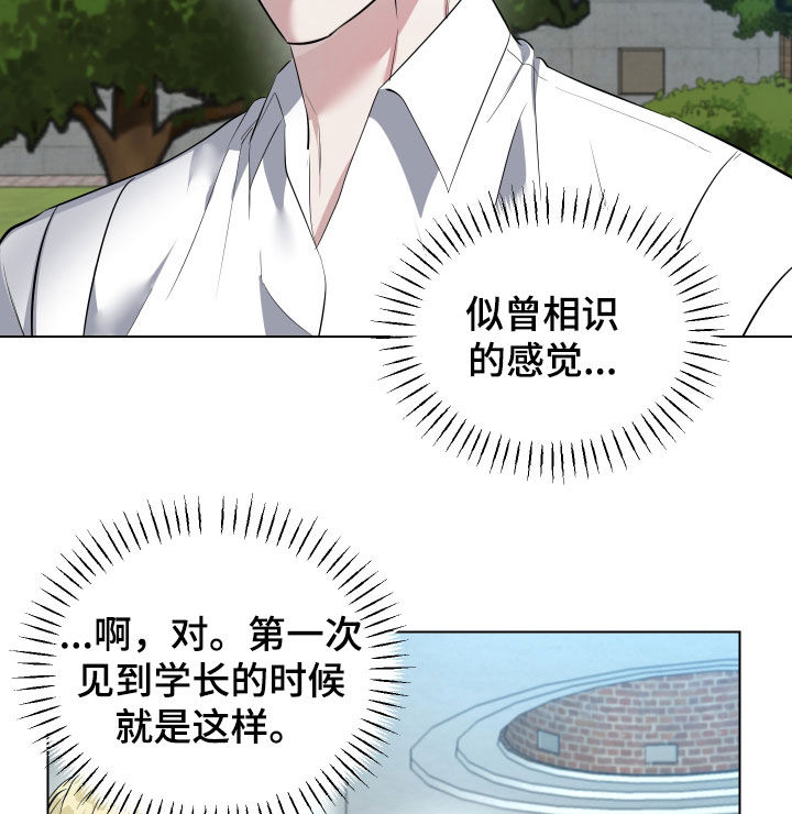 红蛇梦魇