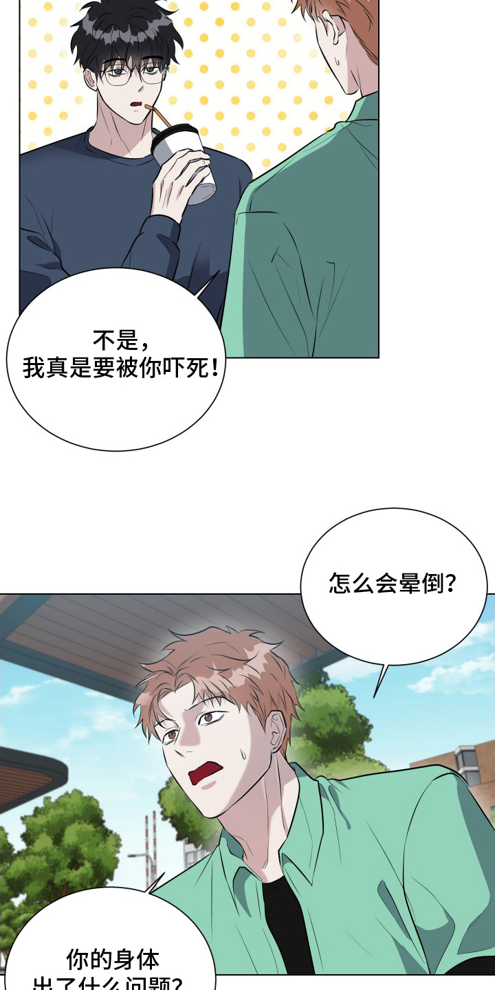 红蛇梦魇