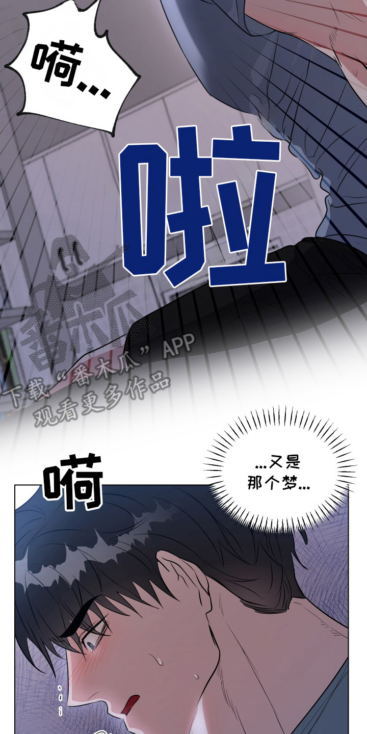 红蛇梦魇