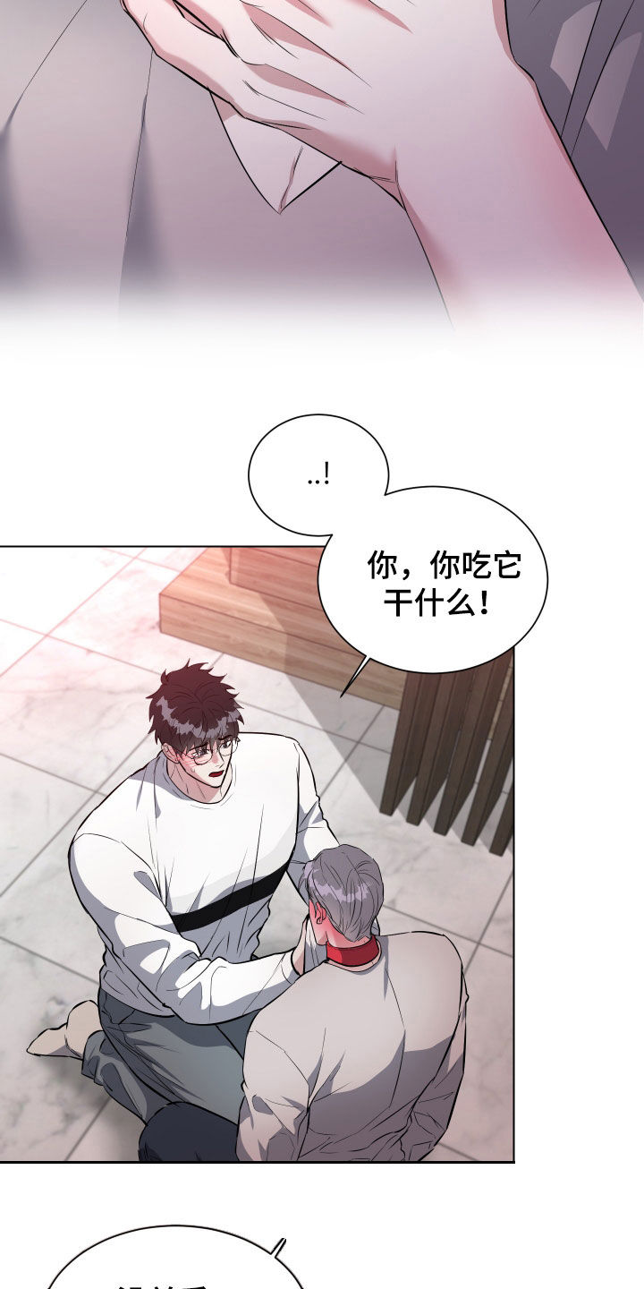 红蛇梦魇