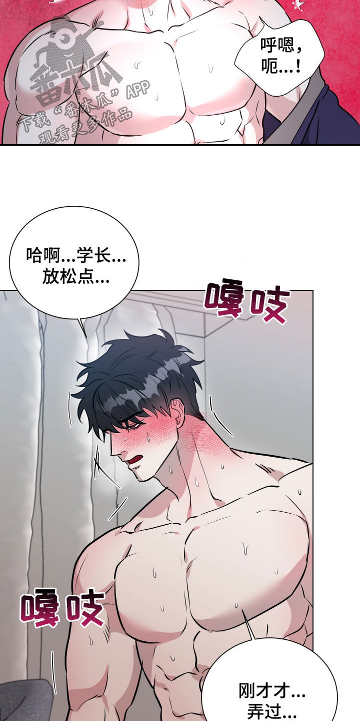 红蛇梦魇