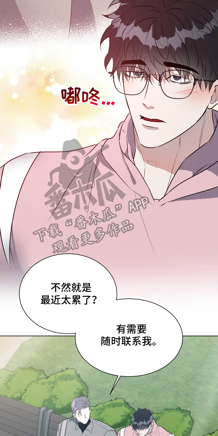 红蛇梦魇