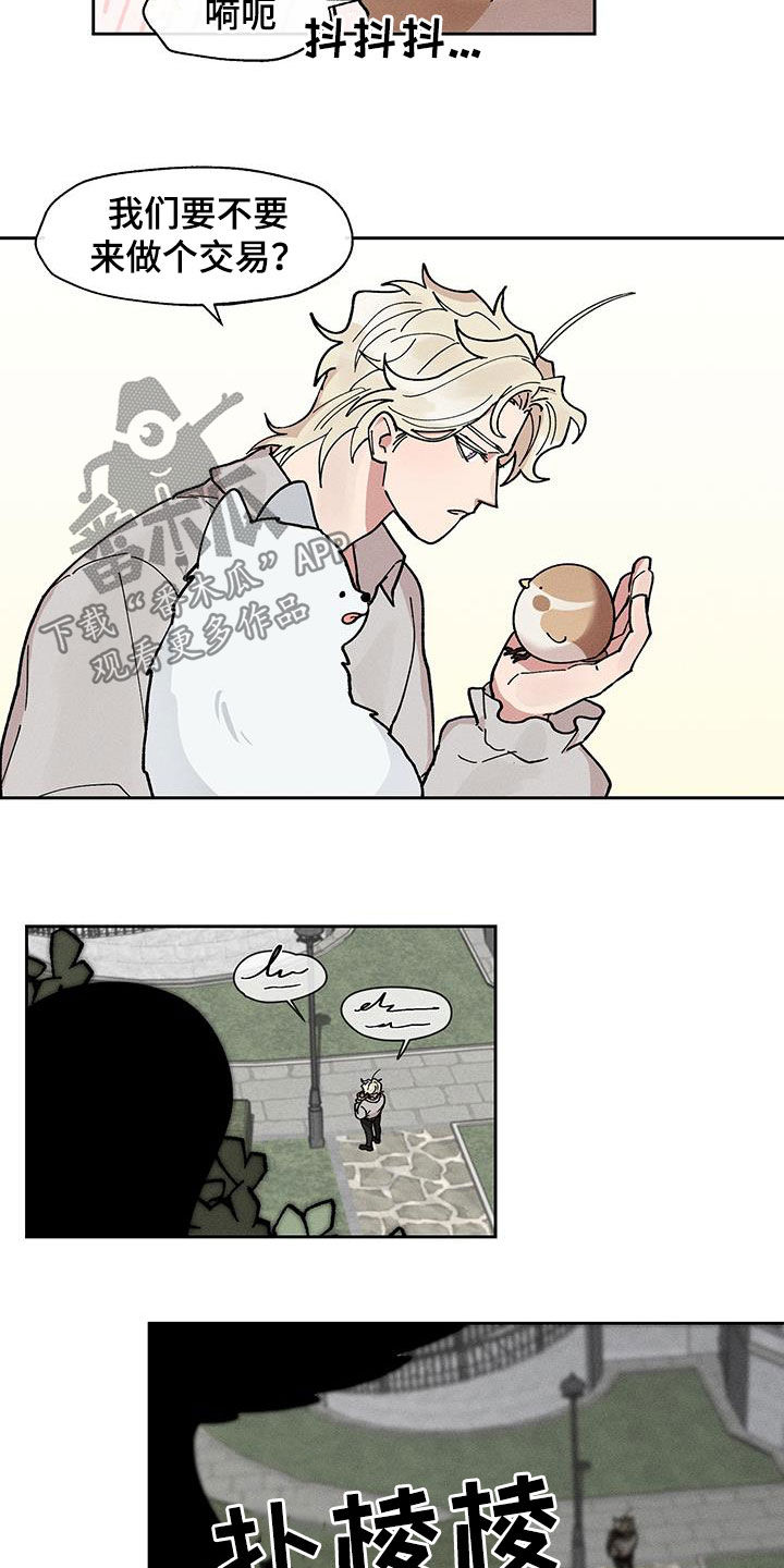 16.jpg