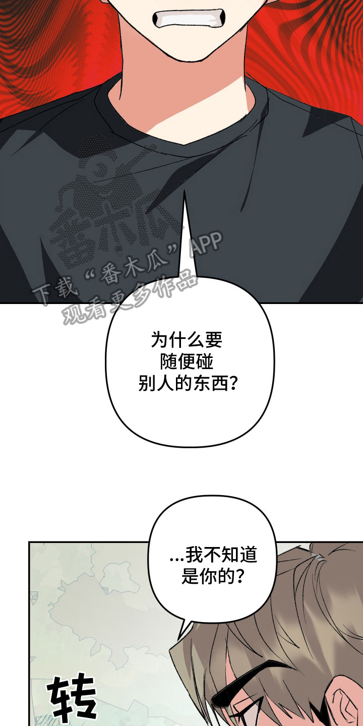 23