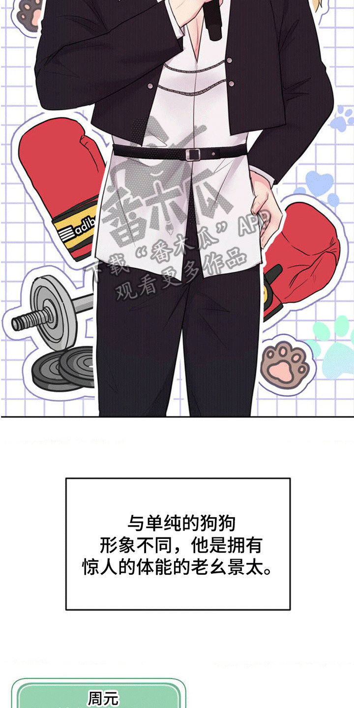 恋爱治愈剂