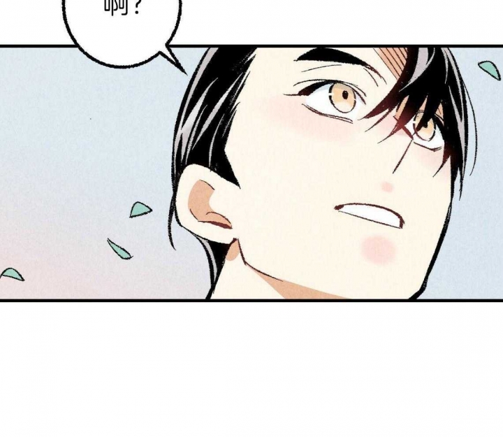 53
