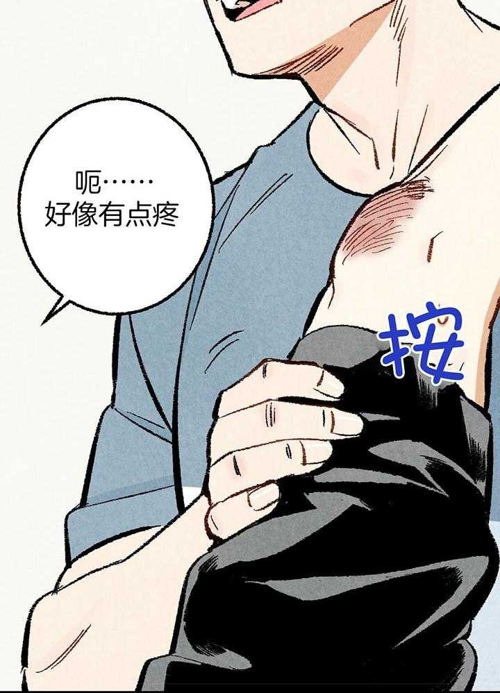 33