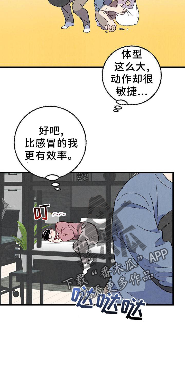19