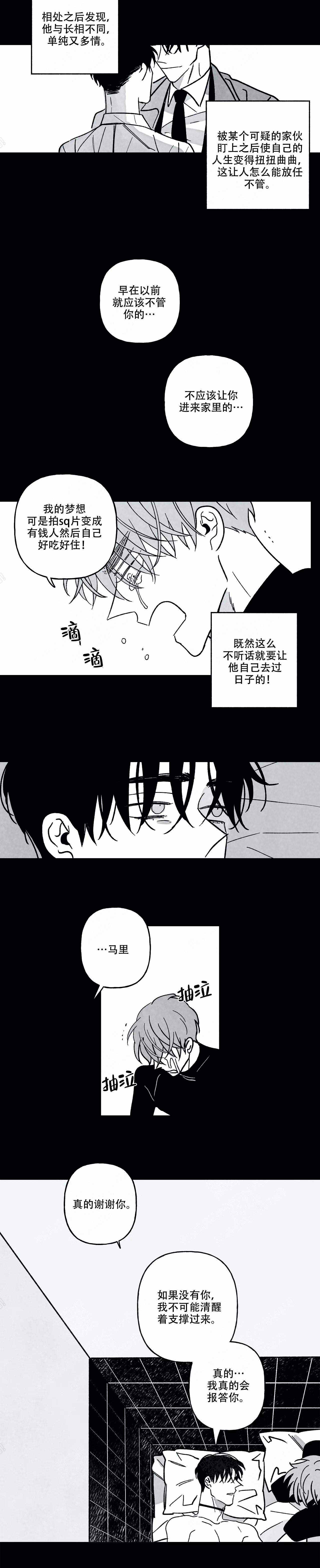 /template/pc/baozi/image/load.gif