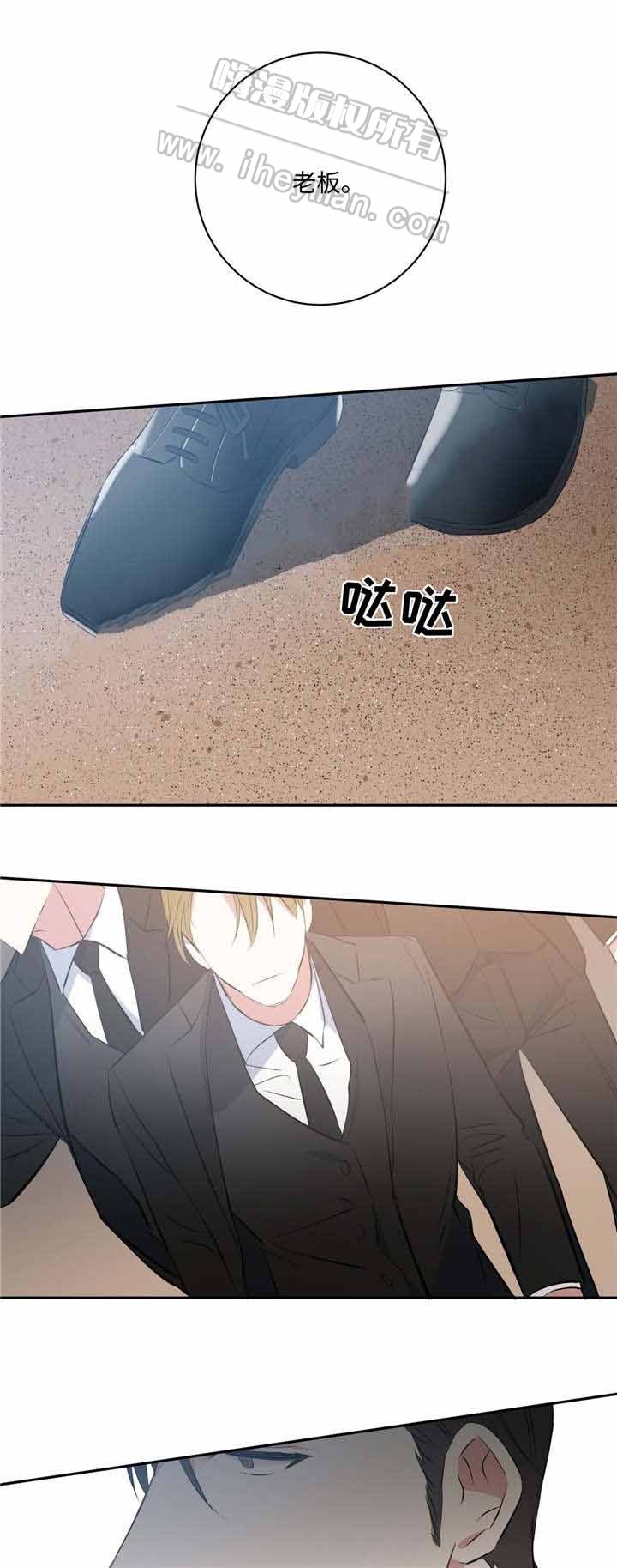 17.jpg