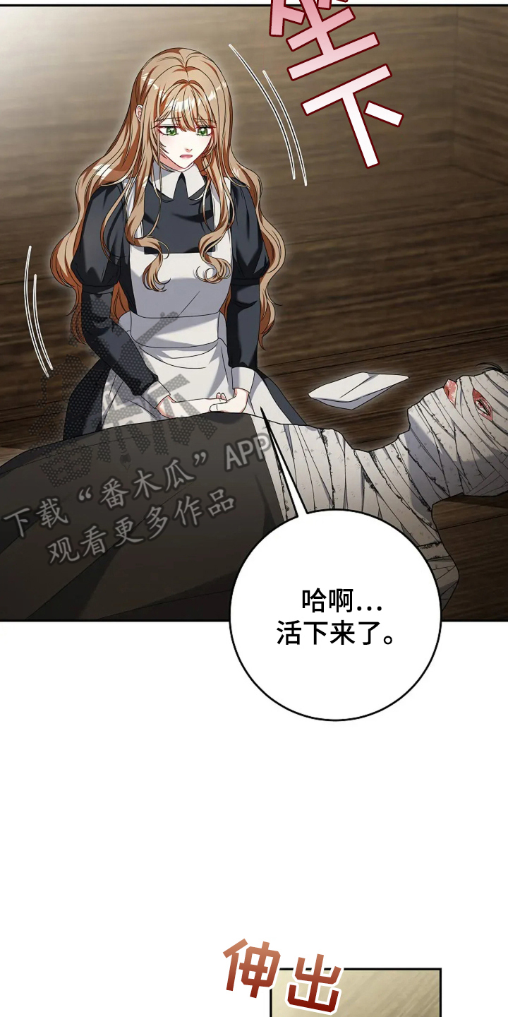23