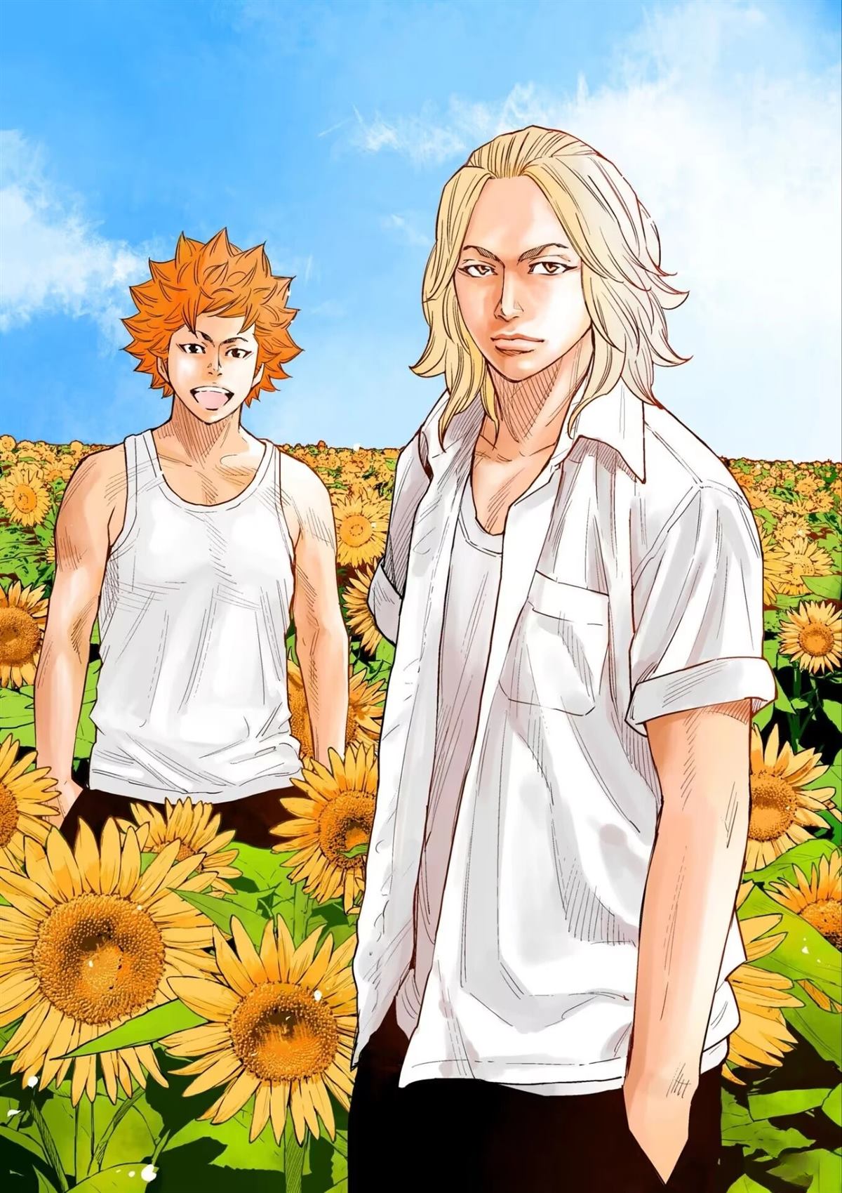 24
