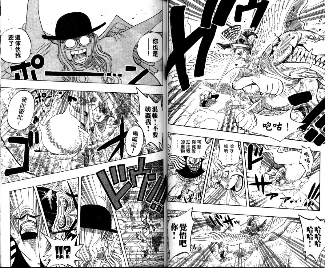 43
