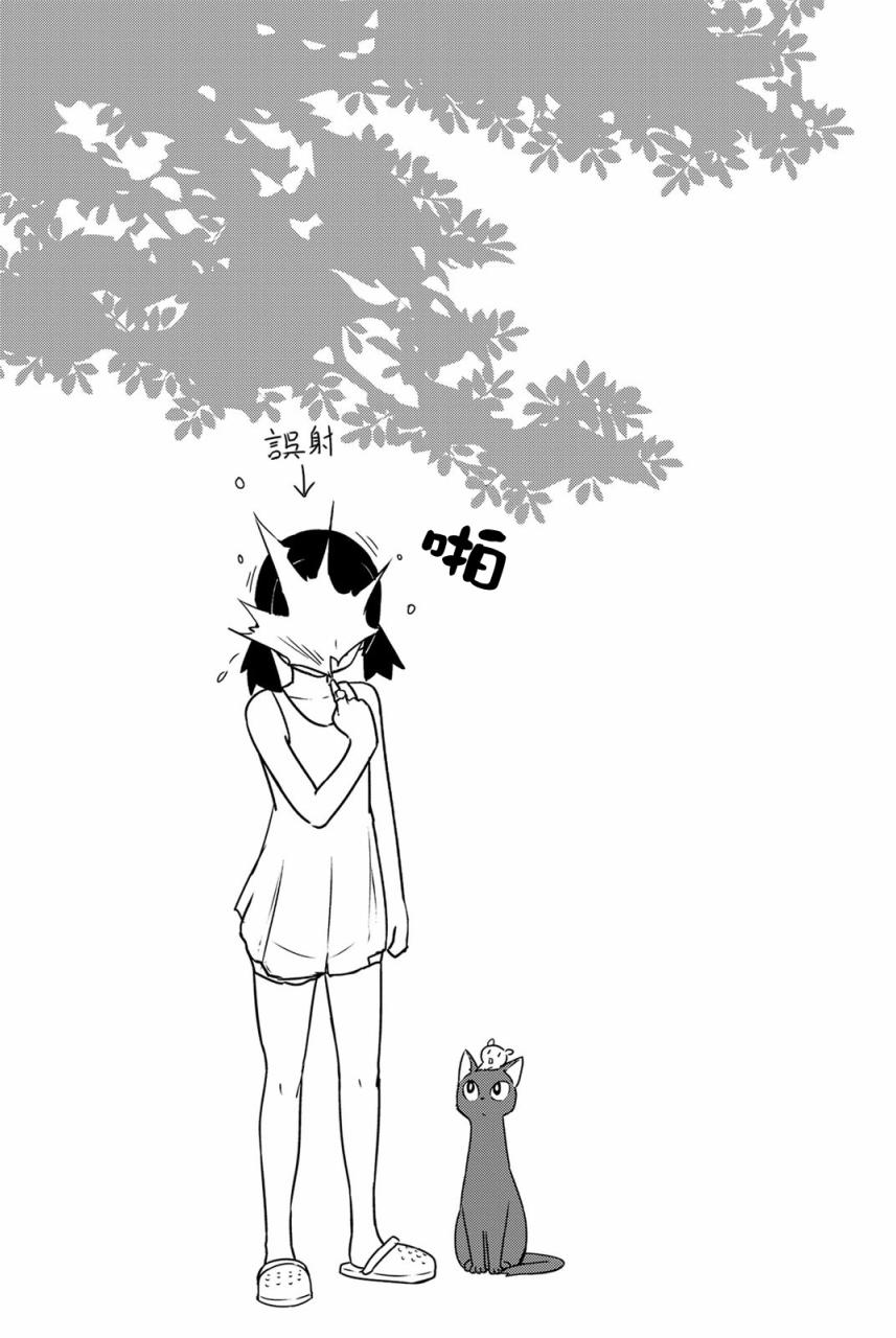 29
