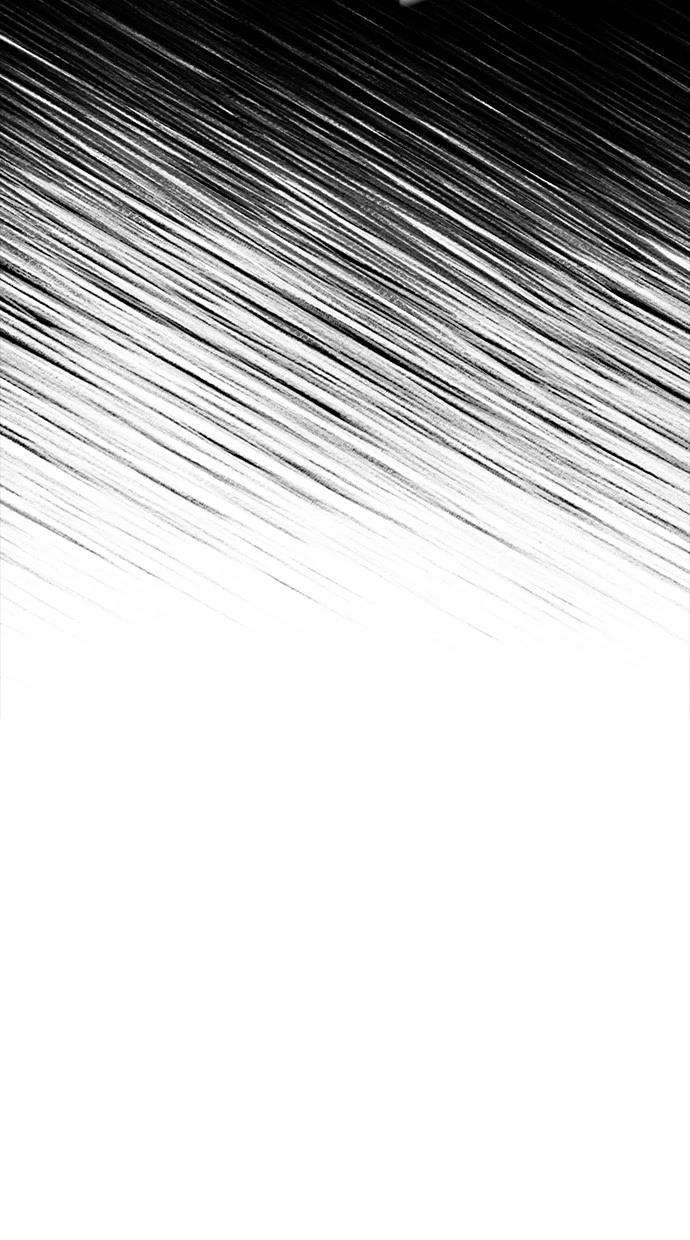 81