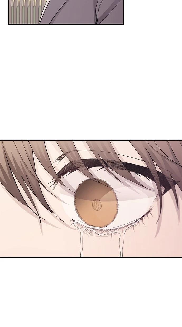 81