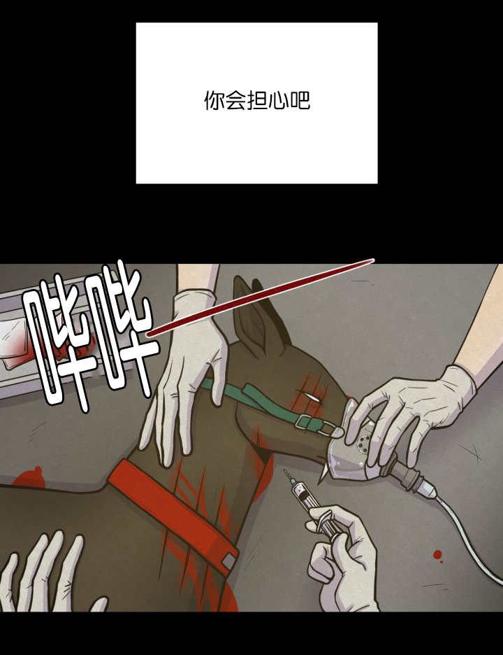41
