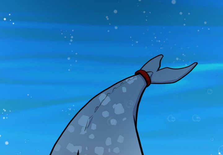 53