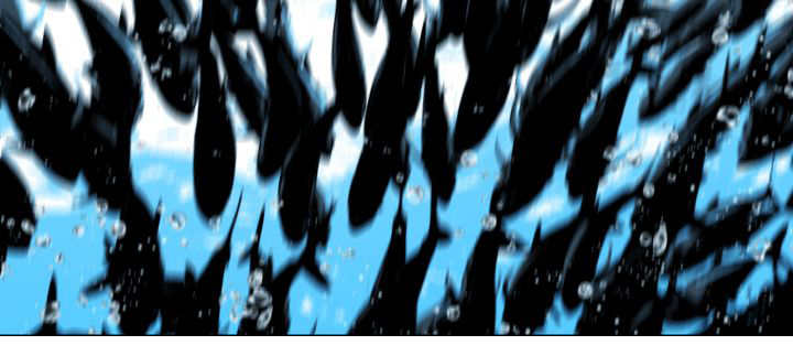 53
