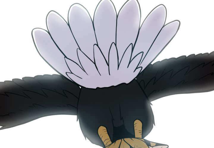 46
