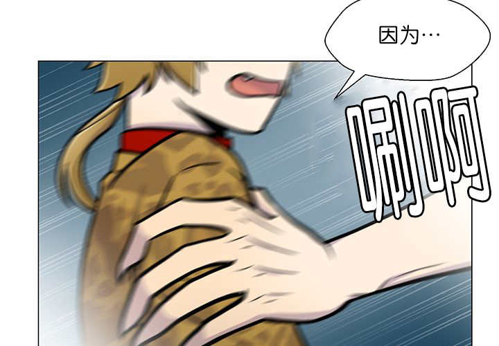 55.jpg