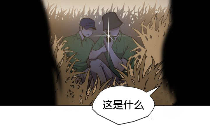 47