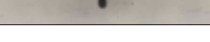 83