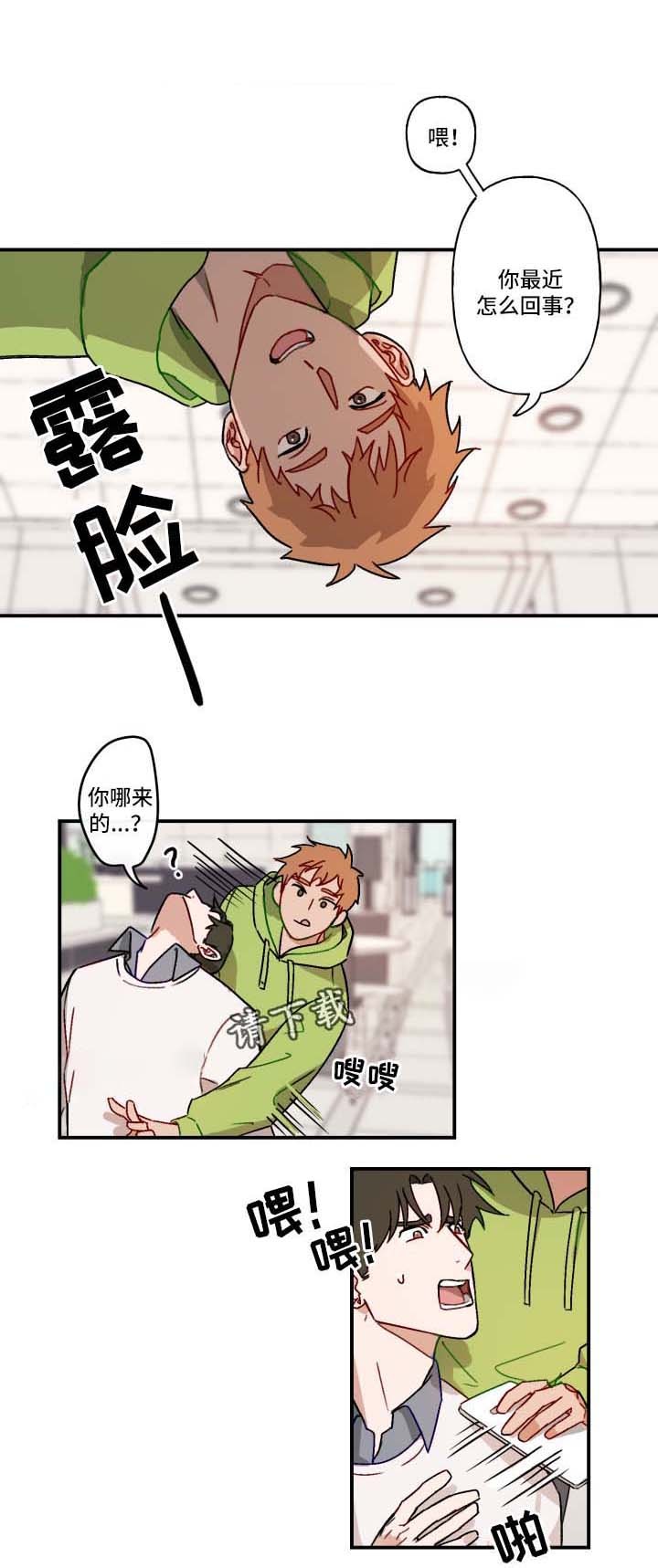 /template/pc/baozi/image/load.gif