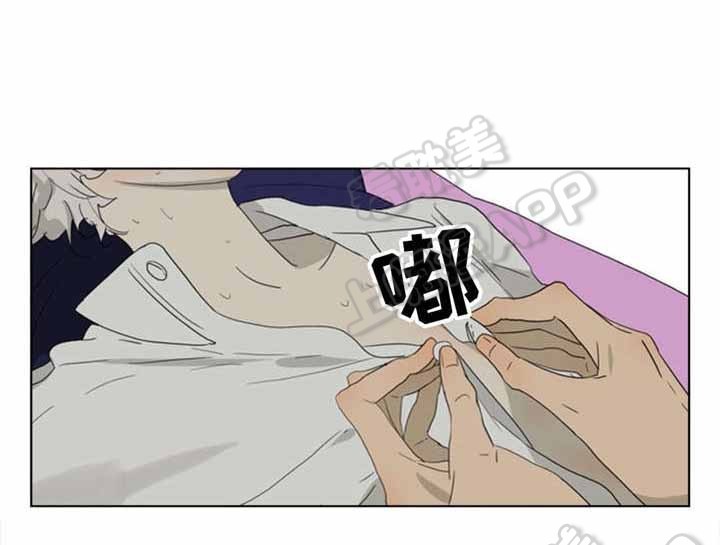 /template/pc/baozi/image/load.gif