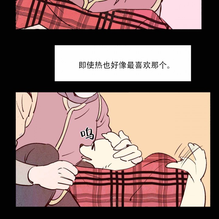 43