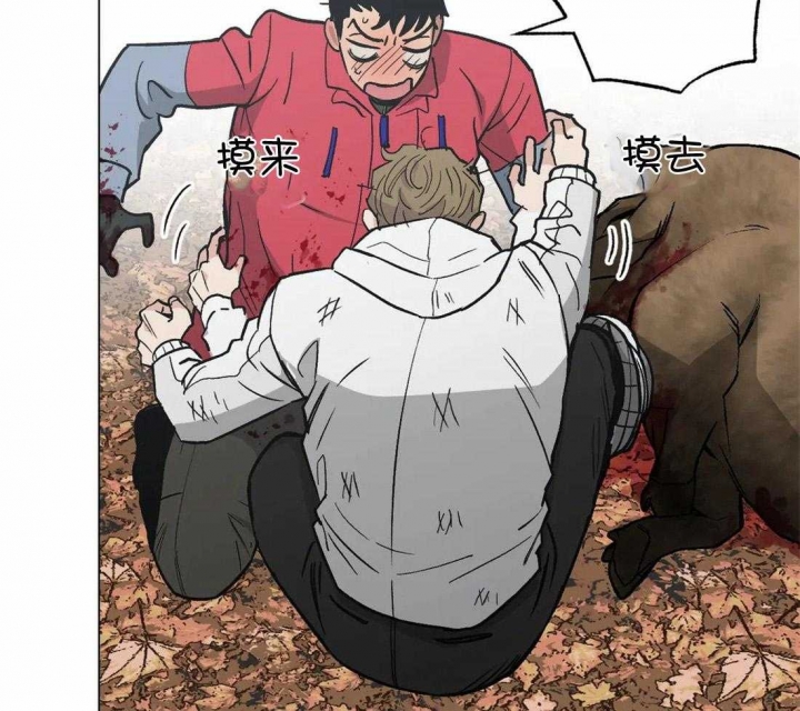 49