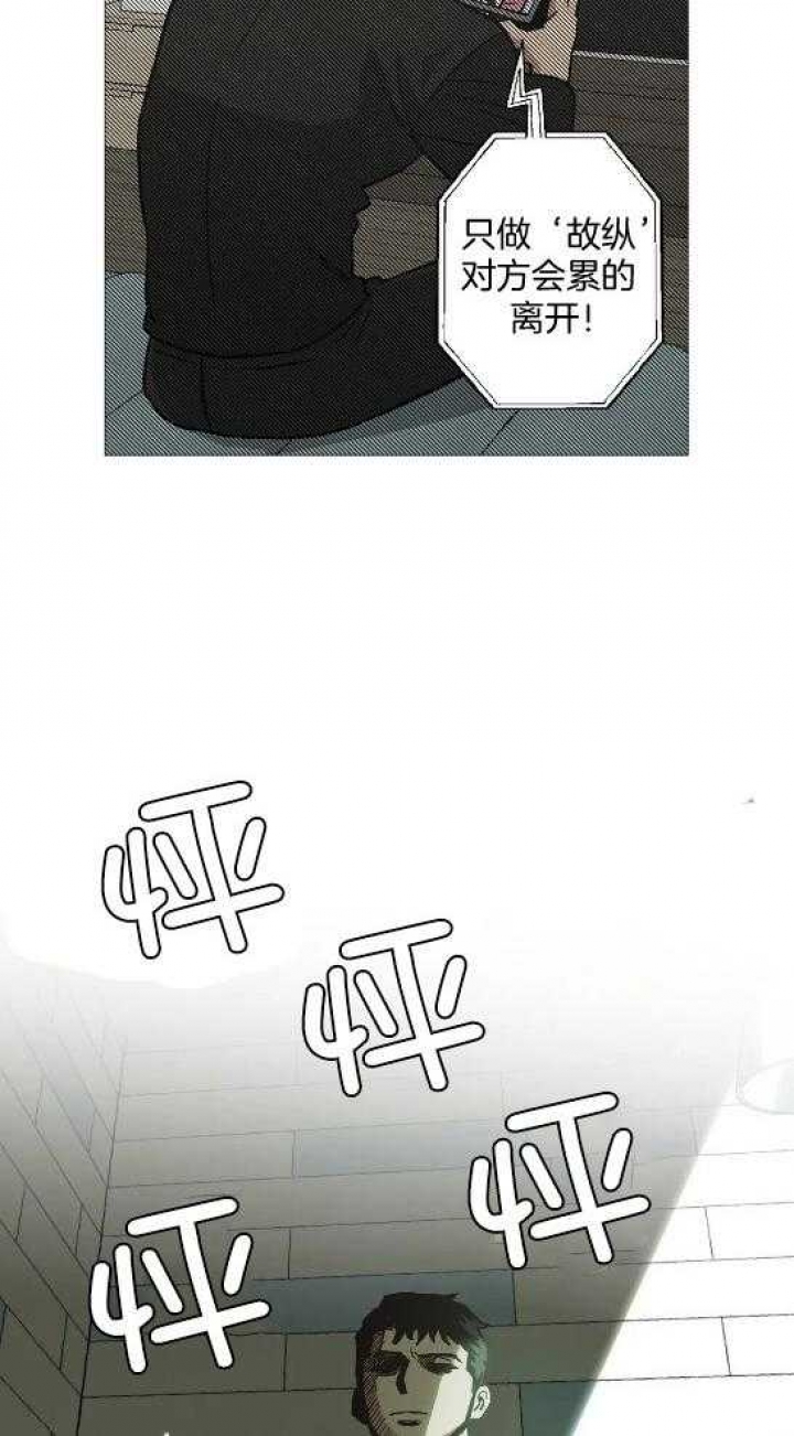 24.jpg