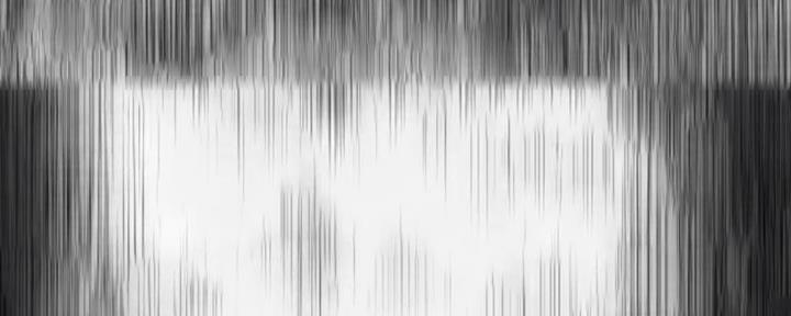 113