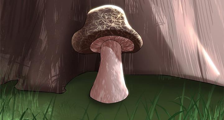 80